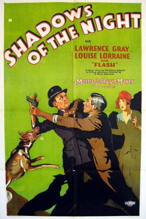 Shadows of the Night (1928) movie poster