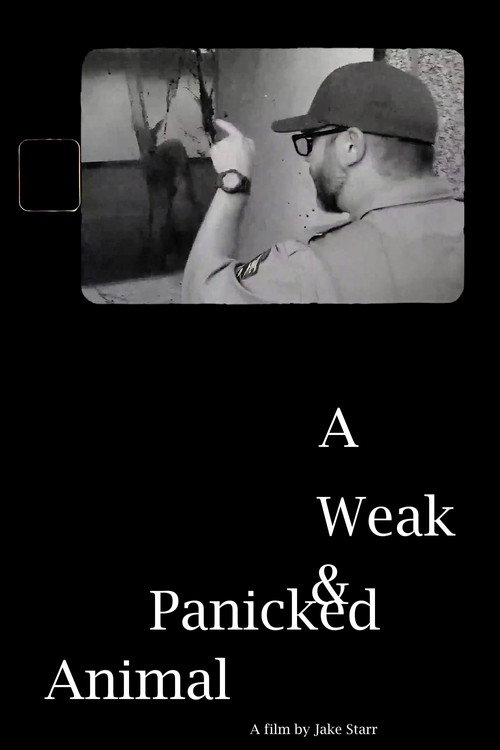 A Weak & Panicked Animal (2024) movie poster
