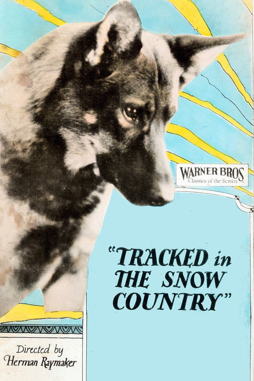 Tracked in the Snow Country (1925) movie poster