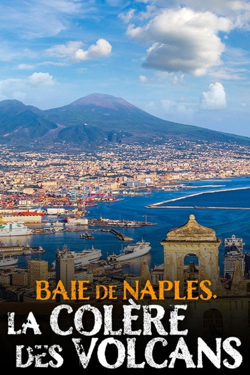 Baie de Naples, la colère des volcans (2020) movie poster