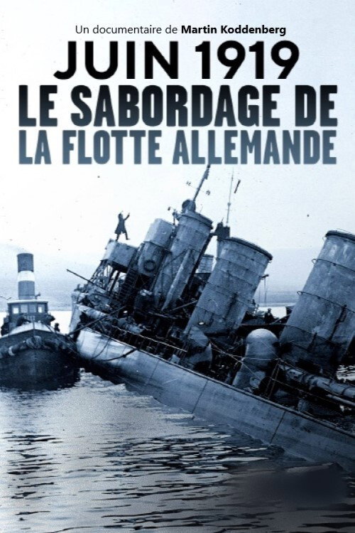 Kommando Selbstzerstörung - Der Untergang der Kaiserlichen Flotte (2020) movie poster