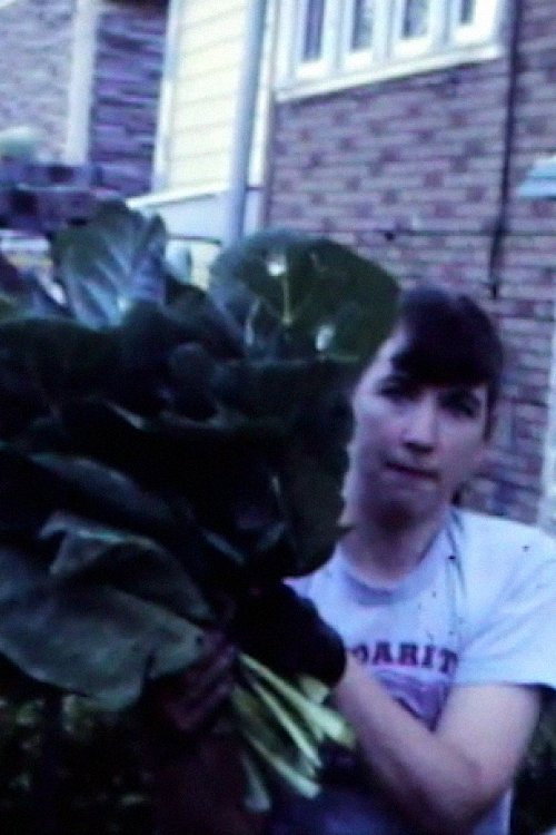 Collards Garden, 1985 (1985) movie poster