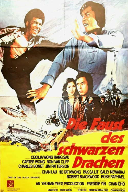 Way of the Black Dragon (1978) movie poster