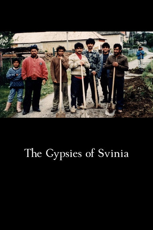 The Gypsies of Svinia (1998) movie poster