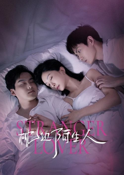 My Stranger Husband (2023) TV show poster