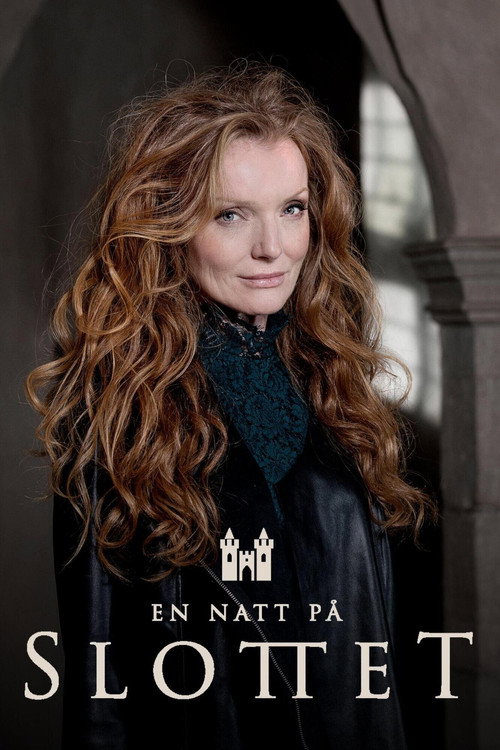 En natt på slottet (2014) TV show poster