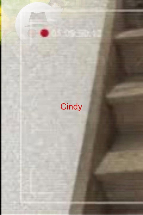Cindy (2023) movie poster