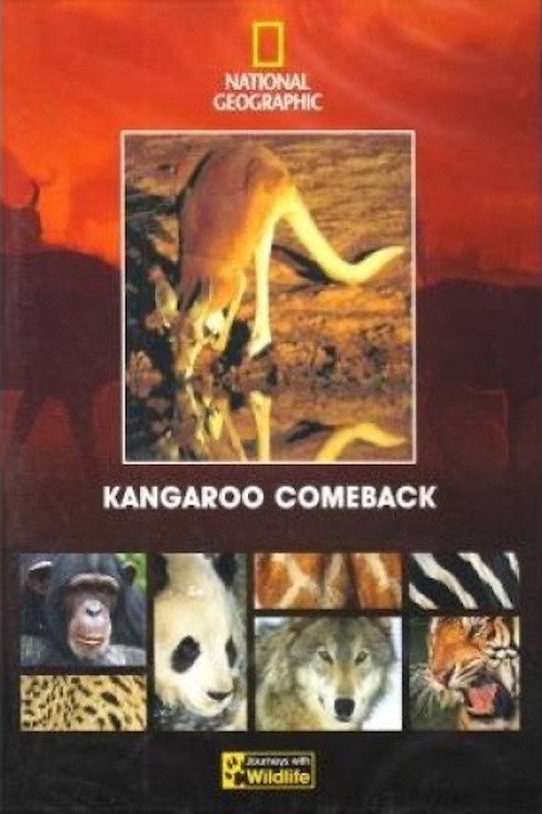 Kangaroo Comeback (1998) movie poster