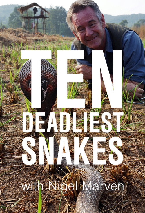 Ten Deadliest Snakes with Nigel Marven (2014) TV show poster
