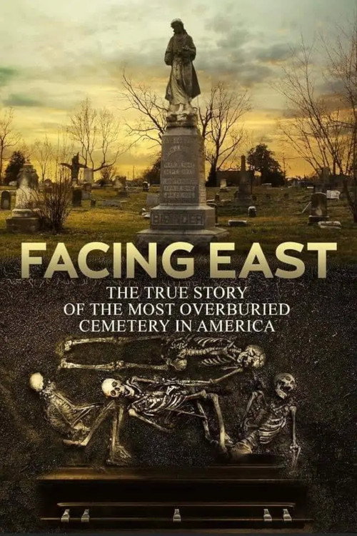 Facing East (2019) movie poster