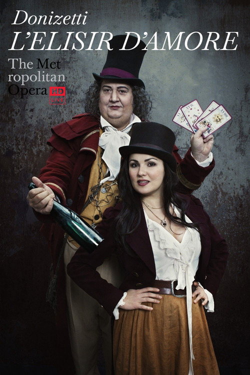 Donizetti: L'elisir d'amore (2012) movie poster