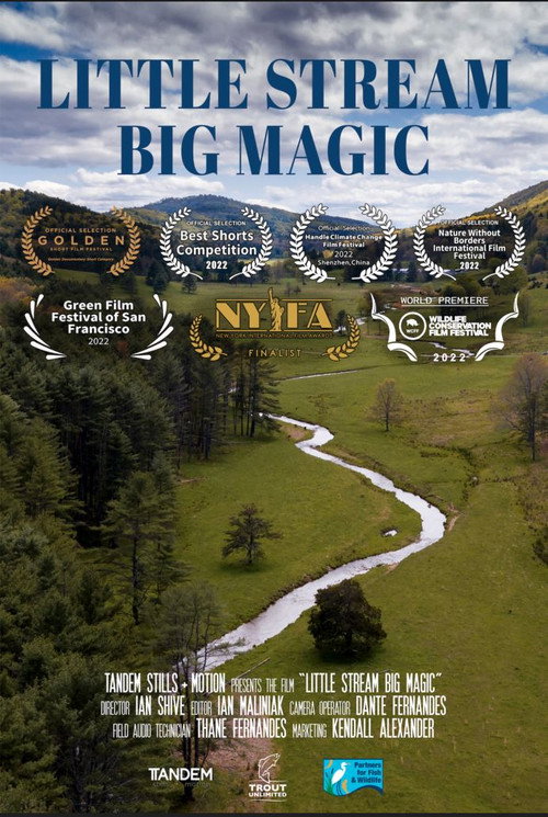 Little Stream, Big Magic (2022) movie poster