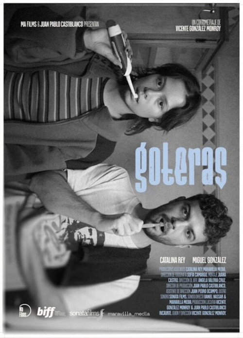 Leaks movie poster