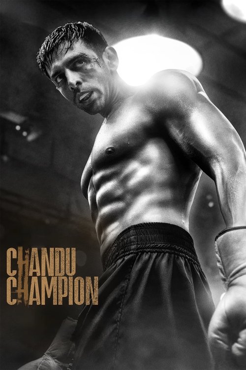 Chandu Champion (2024) movie poster
