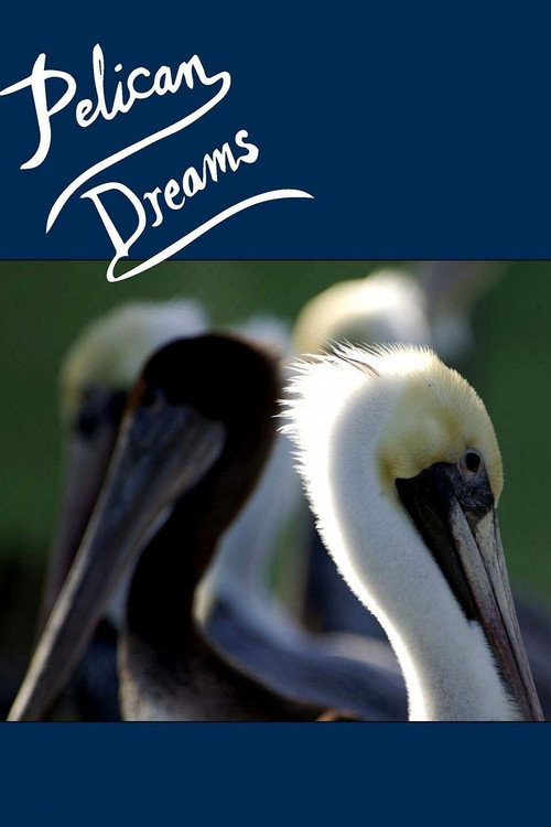 Pelican Dreams (2014) movie poster