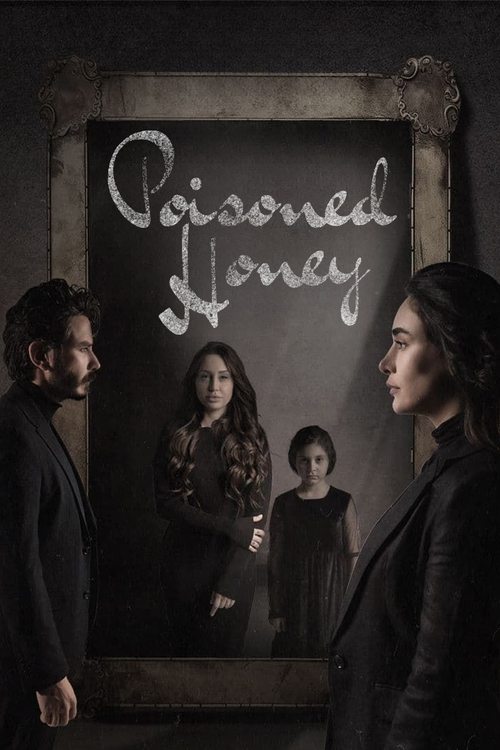 Poisoned Honey (2024) TV show poster