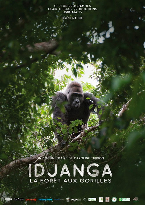 Idjanga, la forêt aux gorilles (2022) movie poster