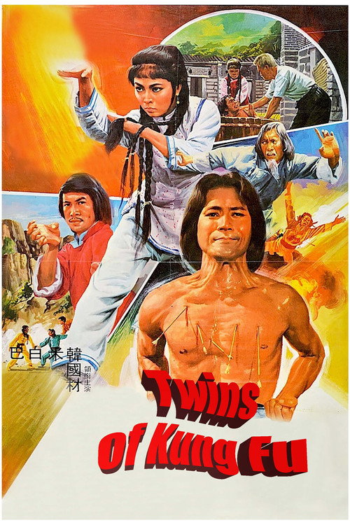 Twins of Kung Fu (1981) movie poster