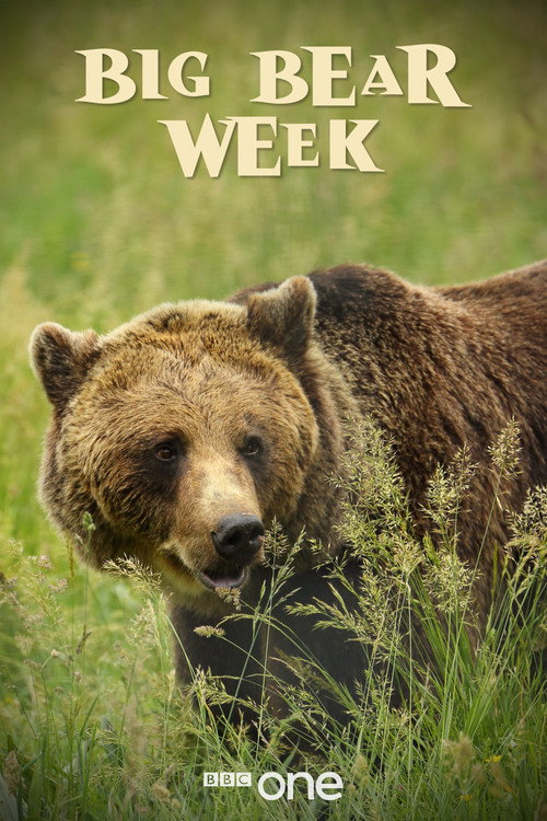 Big Bear Week (2006) TV show poster