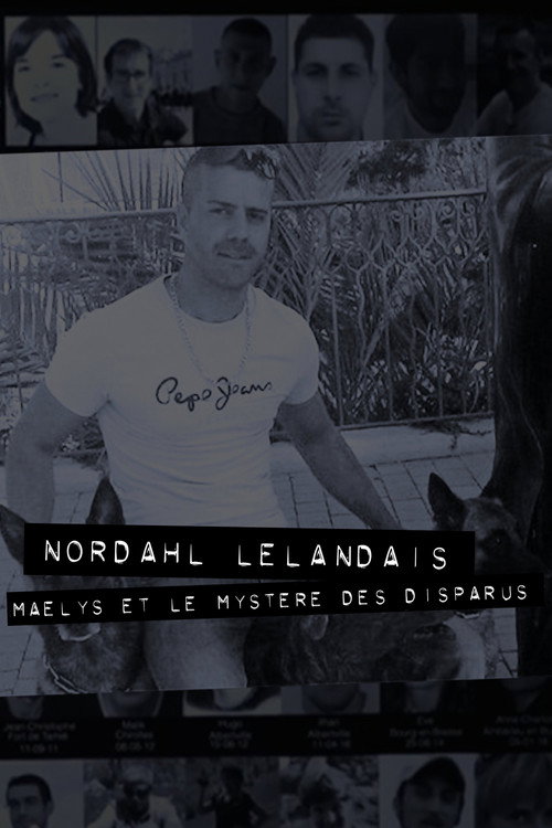 Dans la tête de Nordahl Lelandais (2018) movie poster