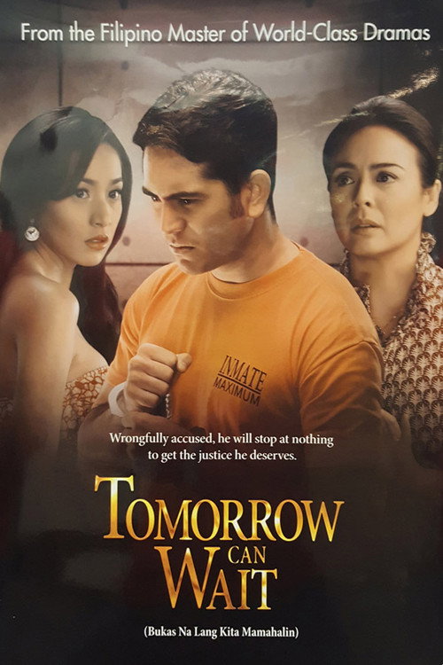 Bukas Na Lang Kita Mamahalin (2013) TV show poster