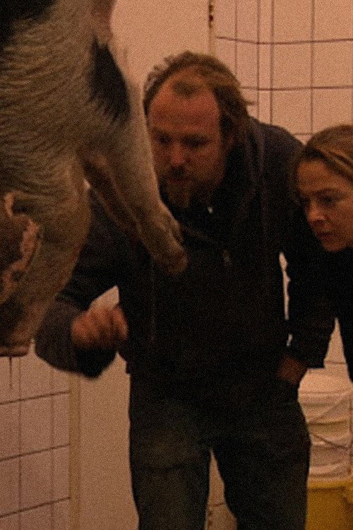 Bloed (2011) movie poster