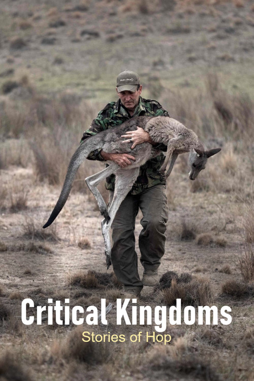 Critical Kingdoms - Stories of Hope (2023) TV show poster