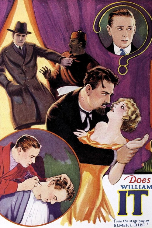 It Is the Law (1924) movie poster
