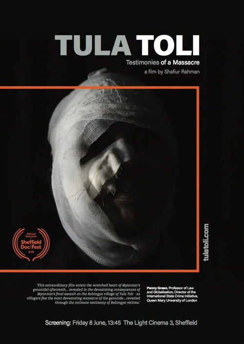 Testimonies of a Massacre: Tula Toli movie poster