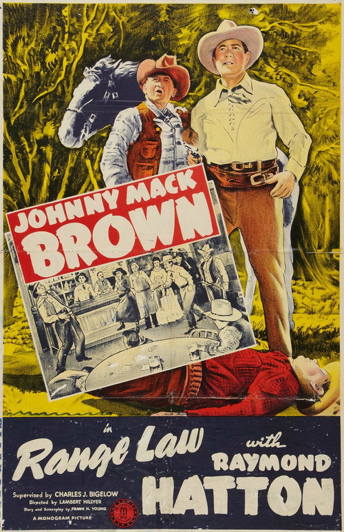 Range Law (1944) movie poster