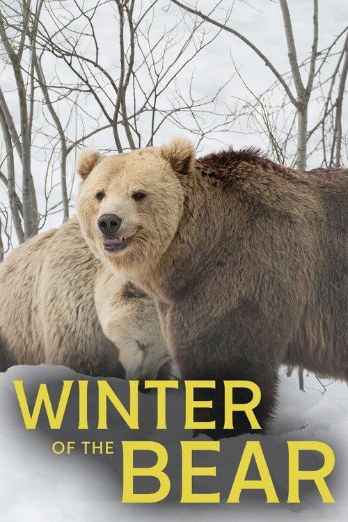Winter of the Bear (2025) movie poster