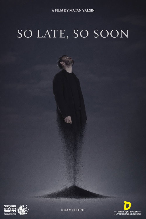SO LATE, SO SOON (2025) movie poster
