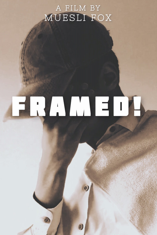 Framed! (2021) movie poster