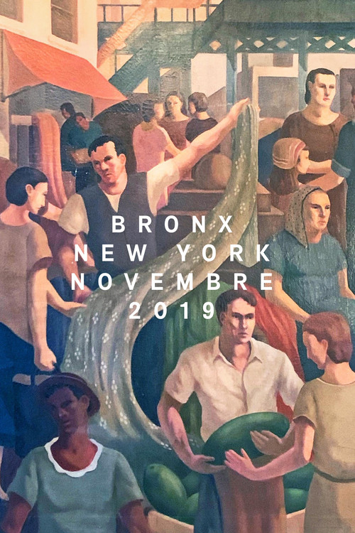 Bronx, New York, November 2019 (2021) movie poster