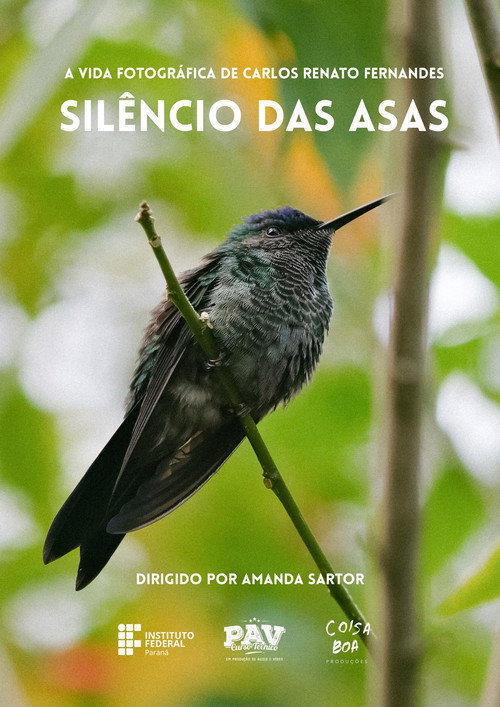 Silêncio das Asas movie poster