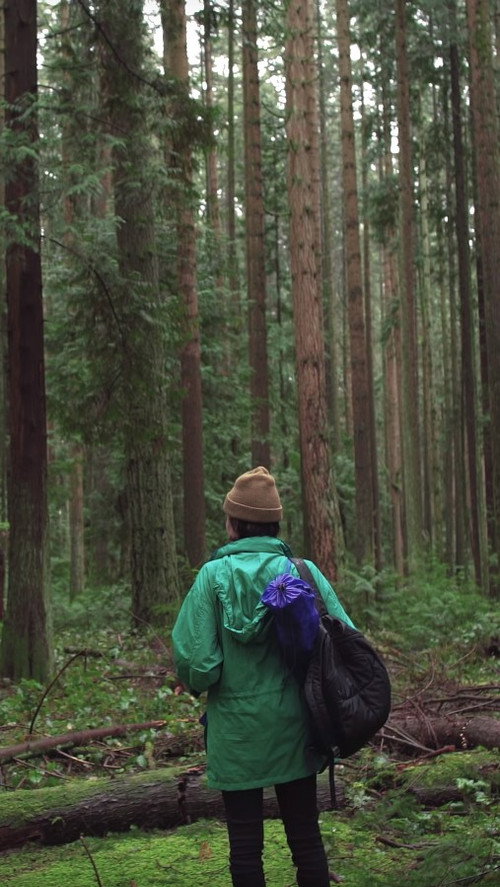 Forest Movie (2017) movie poster