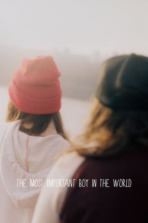 The Most Important Boy in the World (2016) movie poster