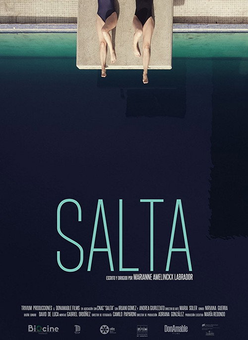 Dive (2017) movie poster