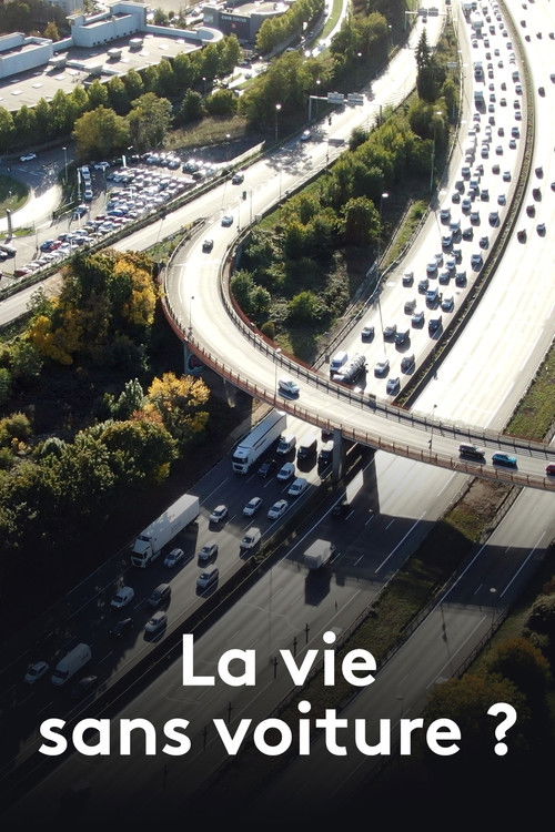 La Vie sans voiture ? (2024) movie poster