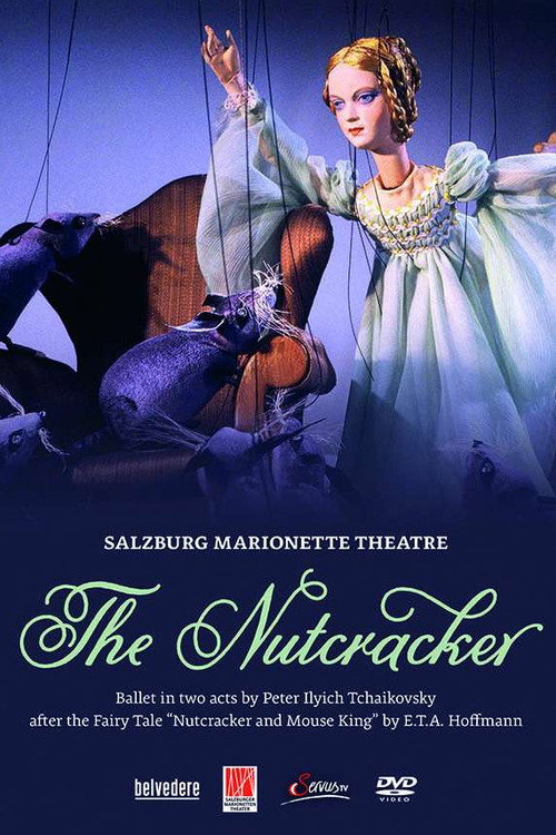 Salzburg Marionette Theatre: The Nutcracker (2009) movie poster