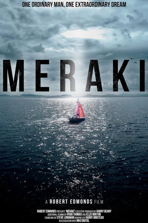 MERAKI (2024) movie poster