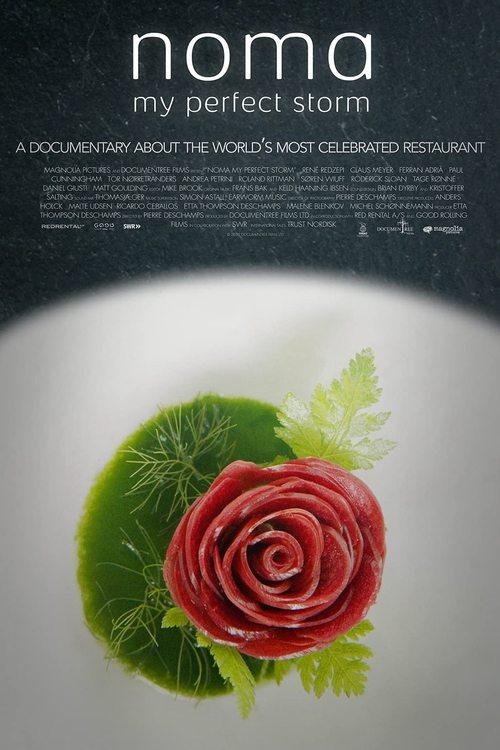 Noma: My Perfect Storm (2015) movie poster