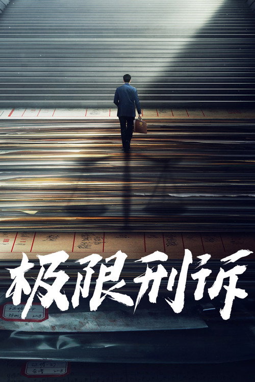 心诉 TV show poster
