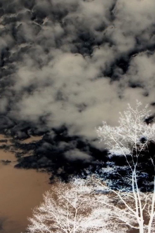 Clouds and Trees (2020) movie poster