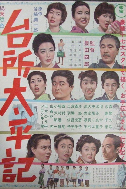 The Maid Story (1963) movie poster