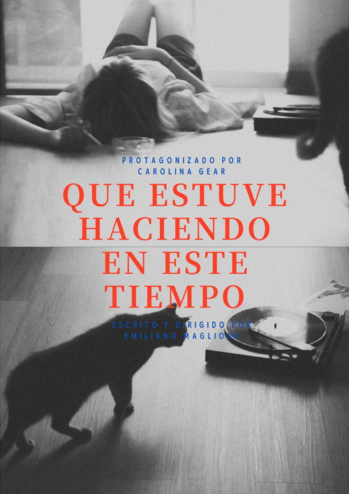Que estuve haciendo en este tiempo movie poster