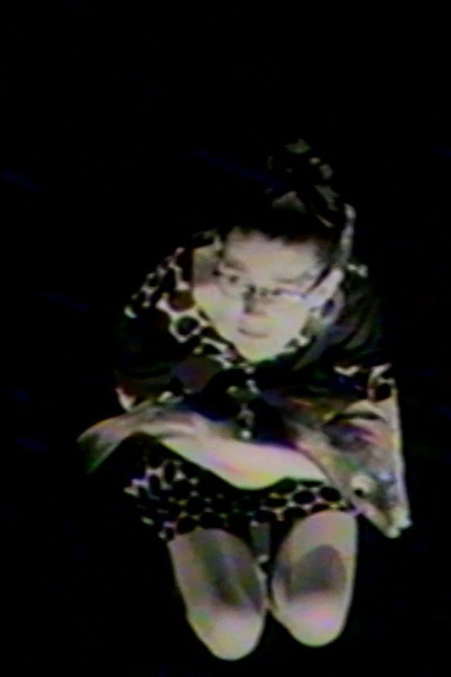 The Fish of Love (1994) movie poster