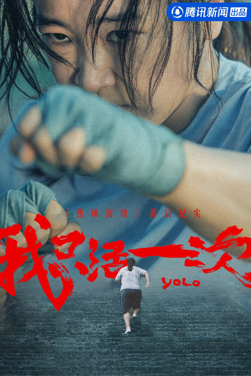 YOLO: I Only Live Once (2024) TV show poster