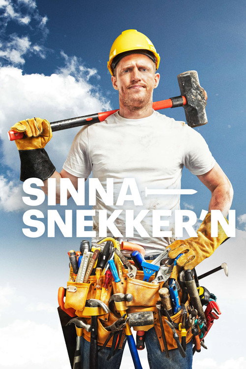 Sinnasnekker'n (2010) TV show poster
