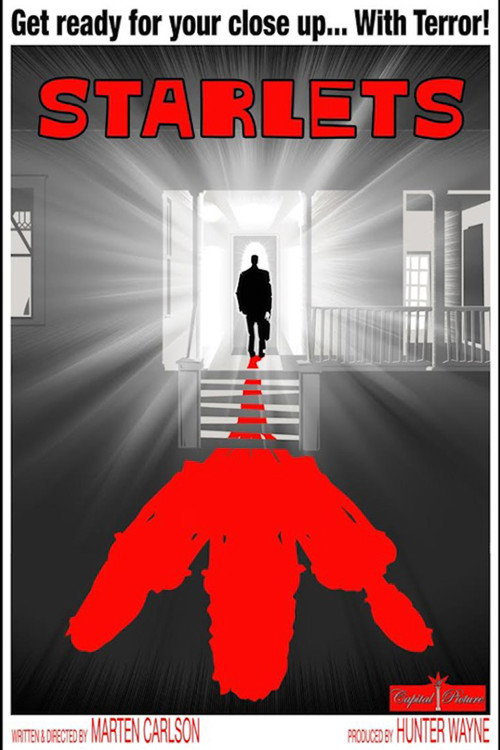Starlets (2018) movie poster